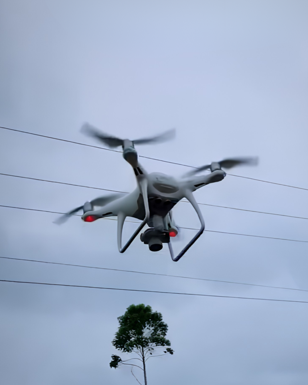 Mapeamento Aéreo com Drone